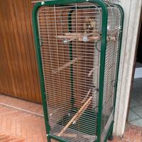 Gabbia voliera pappagalli