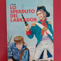 Lo sperduto del labrador - R.Rever