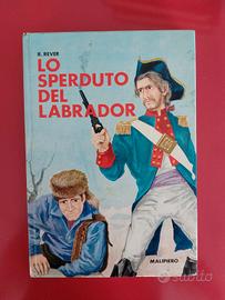Lo sperduto del labrador - R.Rever