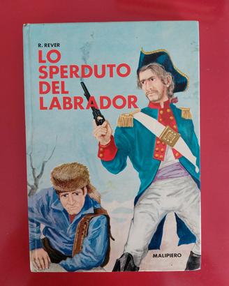 Lo sperduto del labrador - R.Rever