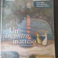 Un incontro inatteso A 