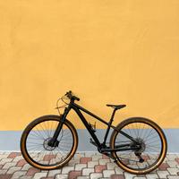 Bicicletta Bergamont Revox 8 MTB taglia S 29”