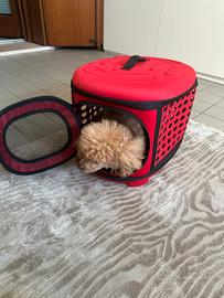 Porta animale da viaggio