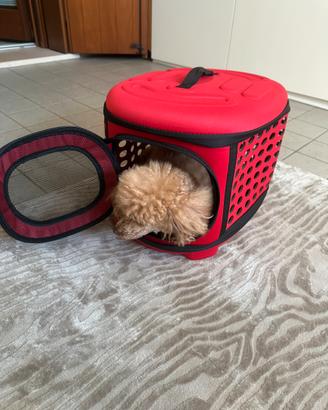 Porta animale da viaggio