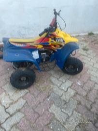 Quad lem