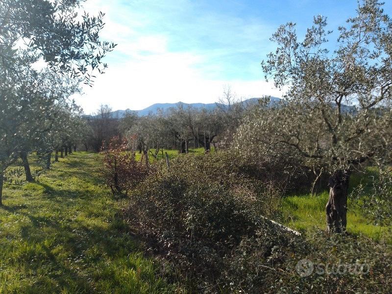Terreno agricolo a Montecalvoli ( PI ) - Vista 5