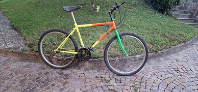 mountain bike rampichino 