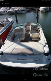 Sunbird 170 ss volvo penta 210 cv