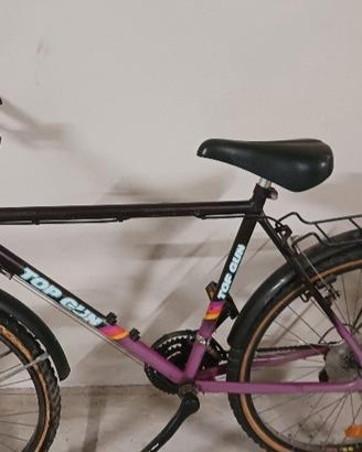 mountaun bike