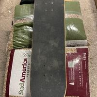 Skateboard
