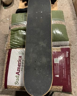 Skateboard