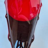 CUPOLINO R1  2000-2001