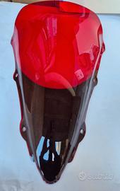 CUPOLINO R1  2000-2001