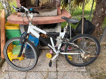 Bicicletta mtb