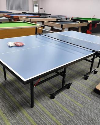 Tavolo Ping Pong Professionale 