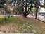 Immagine 14