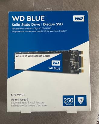 Ssd M2 256Gb WD