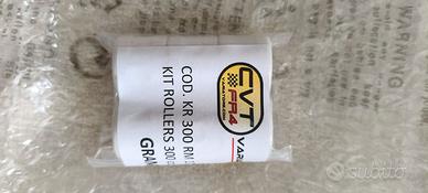 kit rulli cvt 17,0g Modeled per 300cc