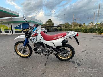 Honda Dominator