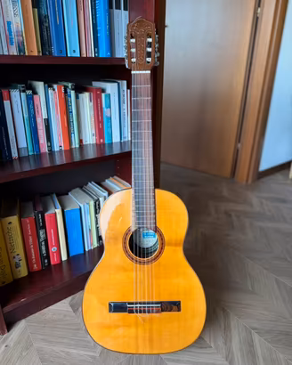 Chitarra classica Di Giorgio Signorina n.16 - 1980