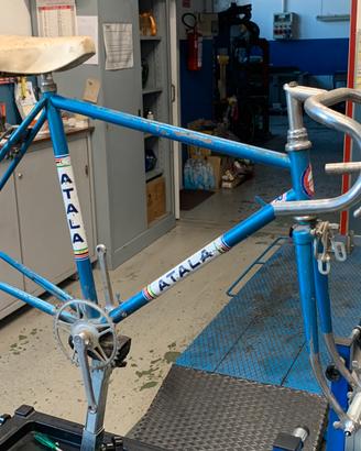 Telaio Atala BDC