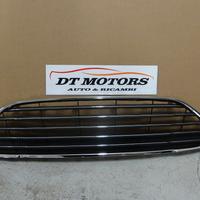 Griglia superiore con cornice Ford Fiesta 01/13