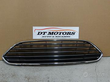 Griglia superiore con cornice Ford Fiesta 01/13