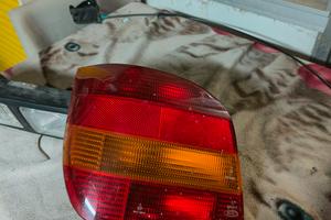 fanale posteriore fiesta