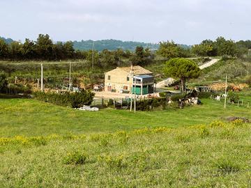 Casa Colonica con Terreno - Lapedona