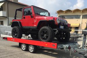 Carrello Rimorchio 3490 kg Auto e Cose new model I