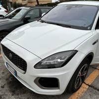 Jaguar e pace bellissma