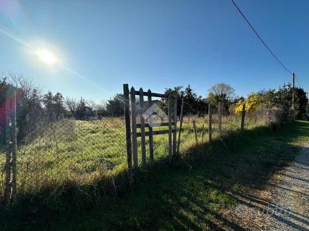 TER. AGRICOLO A ROMA