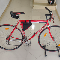 Bici da corsa LACAUSA vintage 12 vel campagnolo