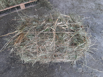 Fieno di montagna in ballotti