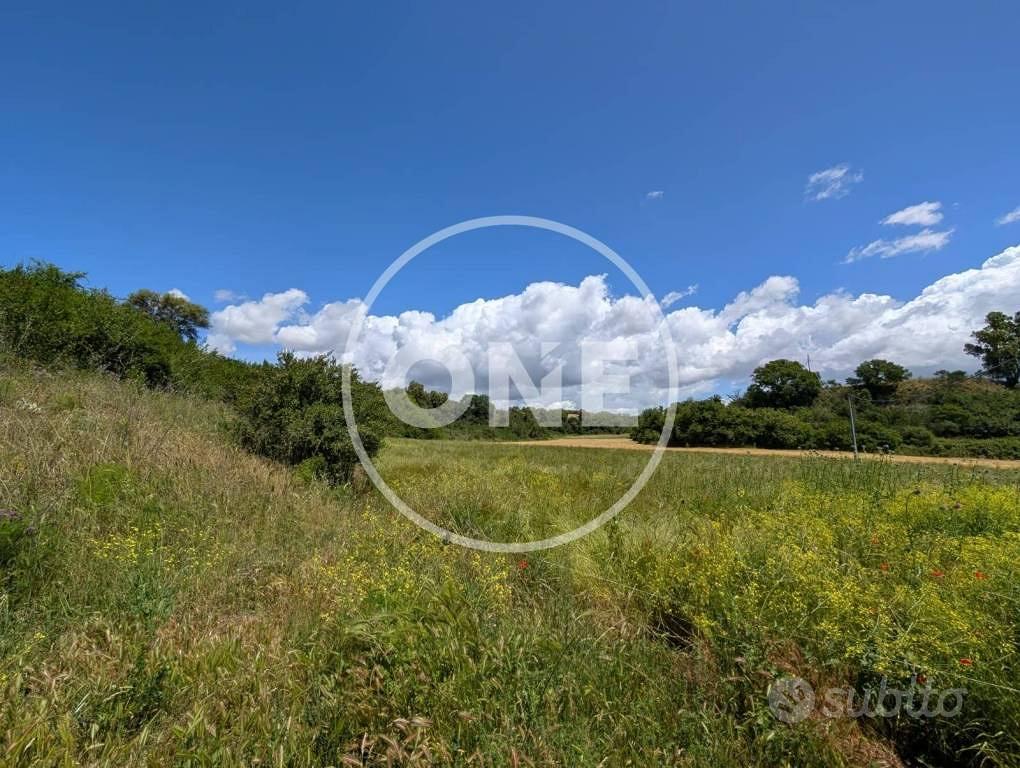 Terreno di 60000 m² a Ardea - Vista 4