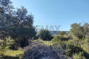 Terreno - Priolo Gargallo