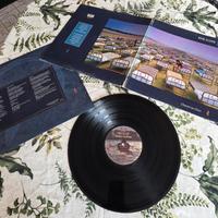 LP vinile pink floyd 