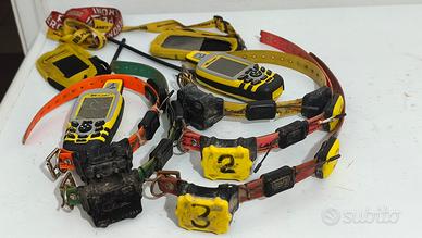 palmari e collari