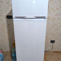Frigo Daya