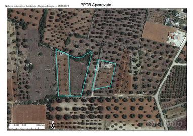 Terreno Agricolo Sava [Cod. rif 3274104VCG]
