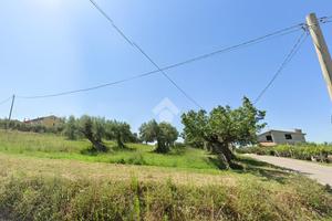 TER. AGRICOLO A MONTENERO DI BISACCIA