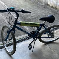 mountain-bike ragazzo