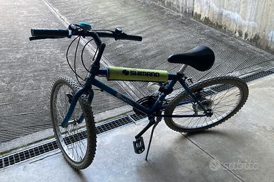 mountain-bike ragazzo