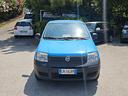 fiat-panda-1-1-actual