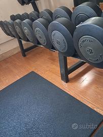 Manubri Technogym 
