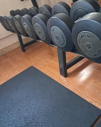 Manubri Technogym 