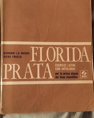 libro latino florida prata