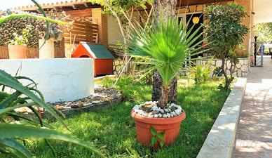 Family-friendly home