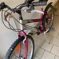 Bicicletta