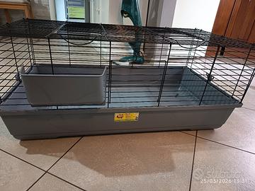 gabbia per conigli 